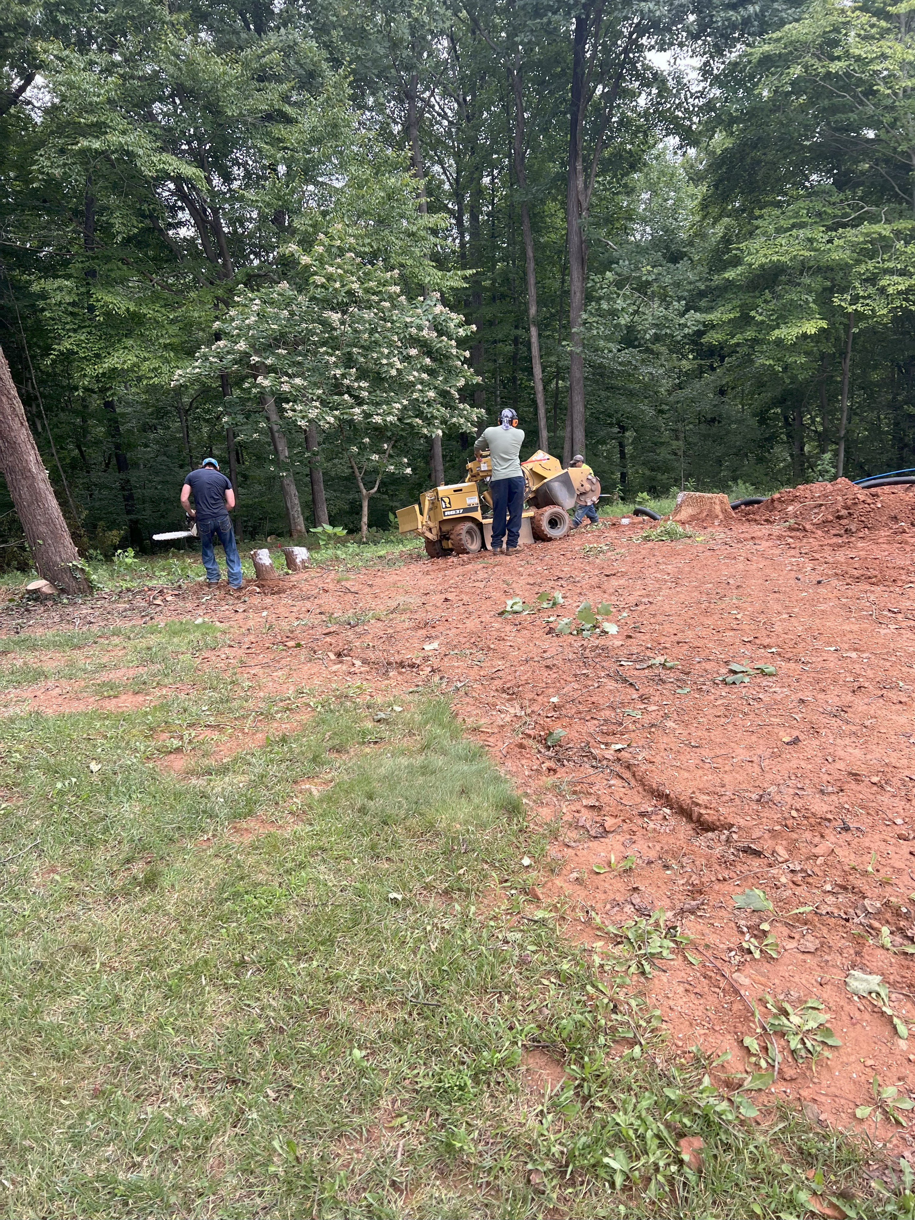 Stump Grinding Project
