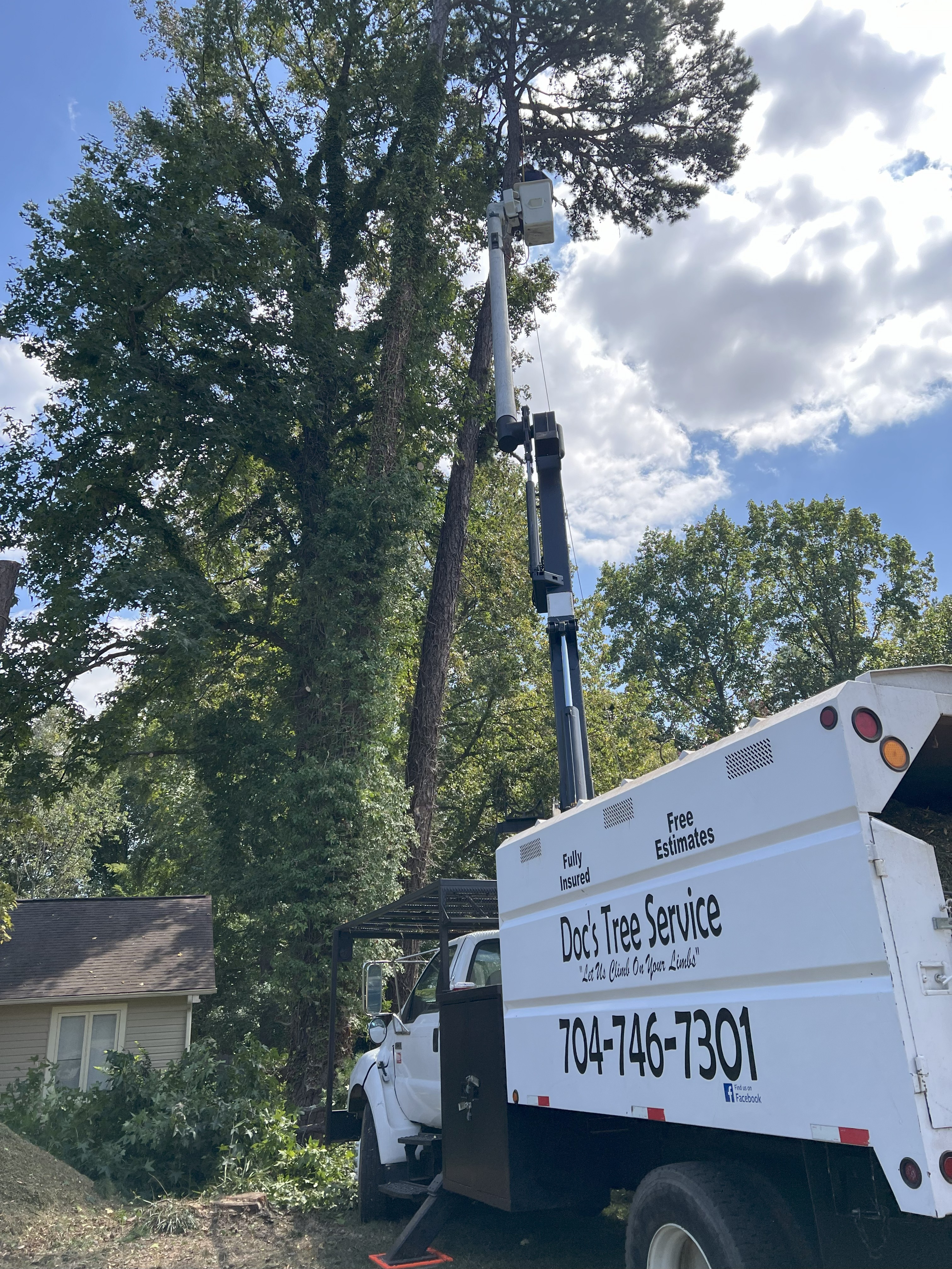 Tree Pruning Project